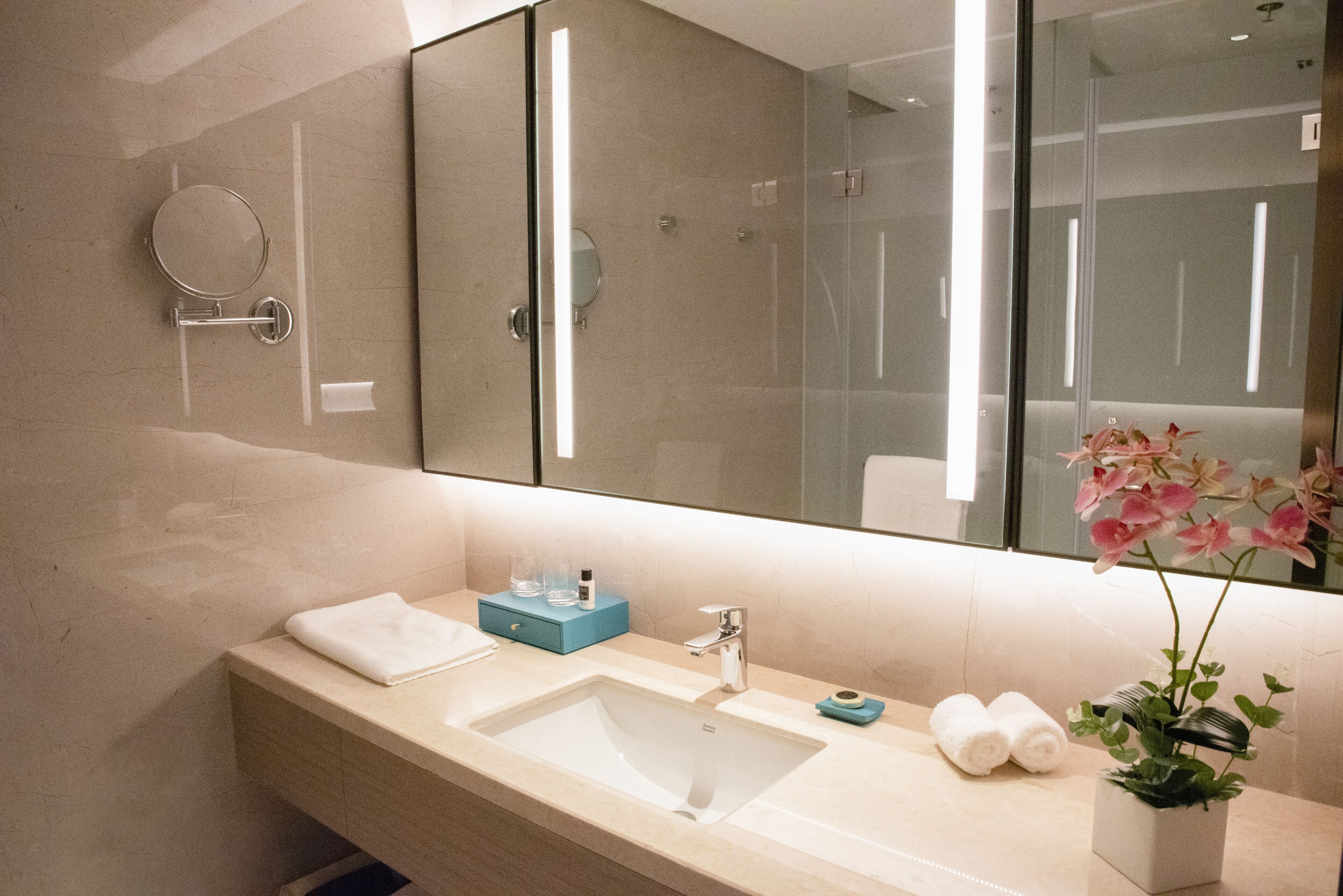 Une salle de bain moderne avec un grand miroir, un lavabo et un espace douche.