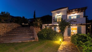 A modern two-story house with a stone staircase leading to the entrance, surrounded by lush greenery and a stone pathway. - Villa Oceanis (Lindos)