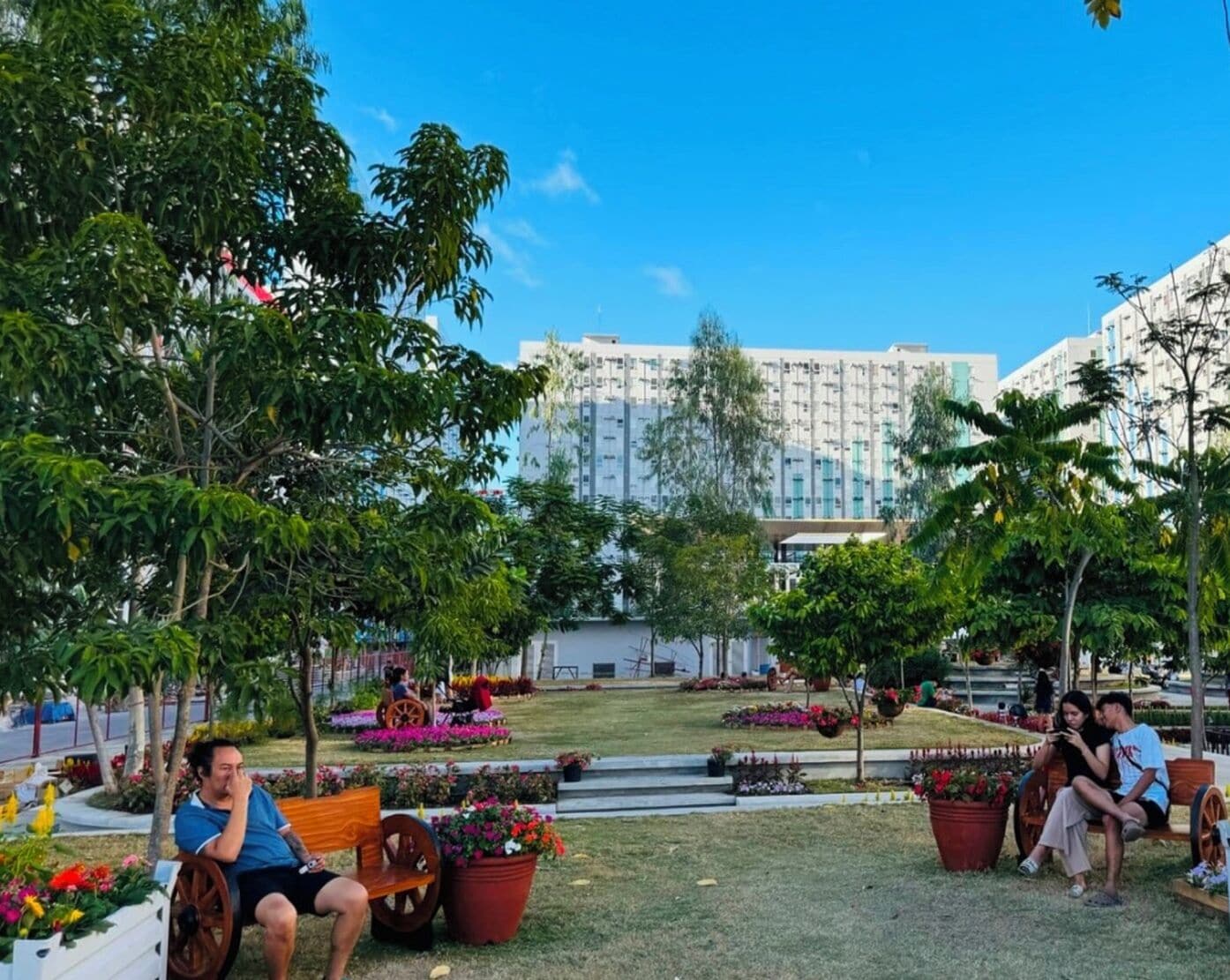 Áreas de la propiedad