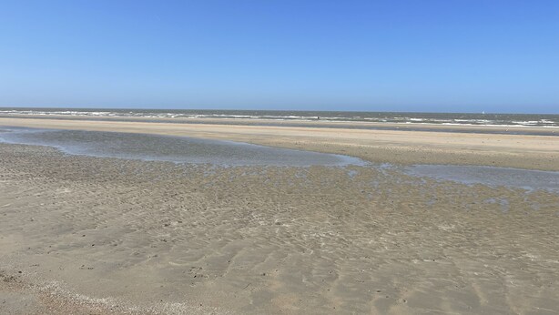 A beach with clear skies and calm waters. - Chouette Appartement 5 Personnes (De Haan)