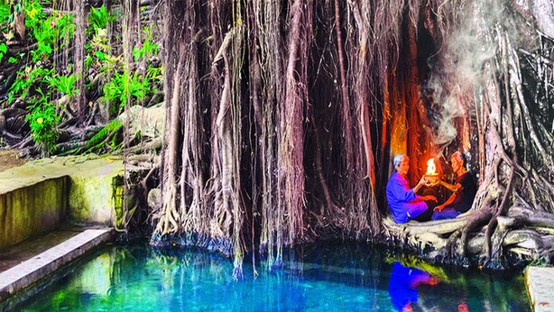 A natural pool surrounded by dense vegetation and tree roots. - The Gabayan Riviera (Lazi)