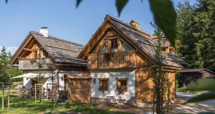 ALPIK Chalets - Bohinj - Chalet Studio GOVIC - Mountain - River View - Fireplace
