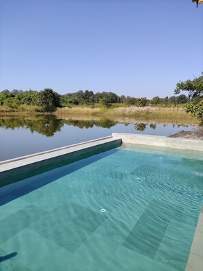 Outdoor pool - Saccharum Safari Lodge (Baihar)