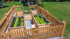 Un jardí amb camins elevats i una tanca de fusta.