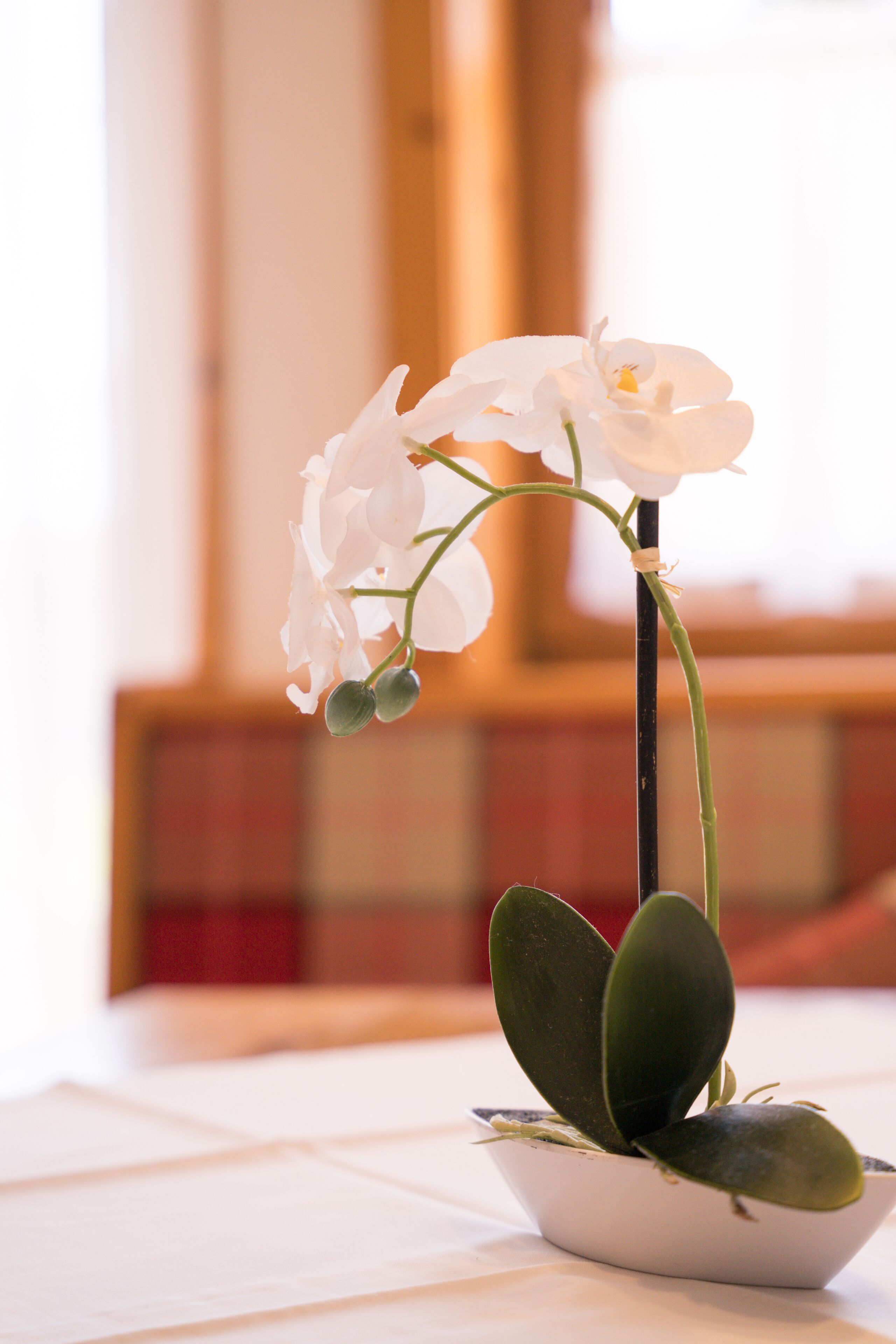 Una orquídea en maceta con un único tallo y algunas flores sobre una mesa blanca.