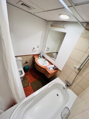 Een bad/douchecombinatie, een bidet