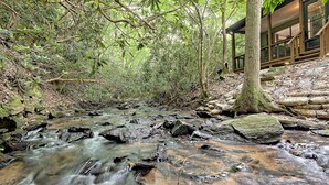 A stream flowing through a forested area with a building on the right.