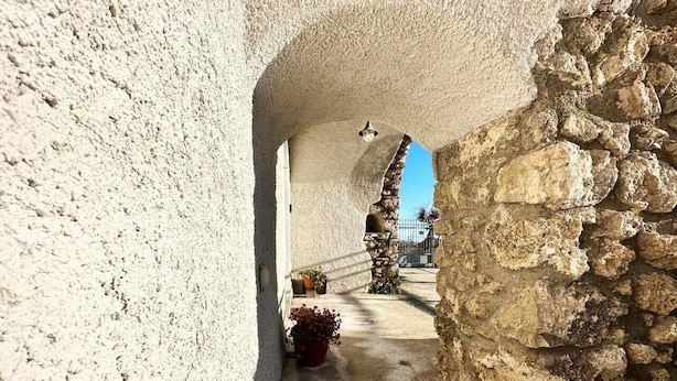 An arched stone corridor with a view of a gate and potted plants.