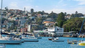 A marina with multiple boats docked, a building labeled "CATALINA" in the background, and a hillside with residential buildings.