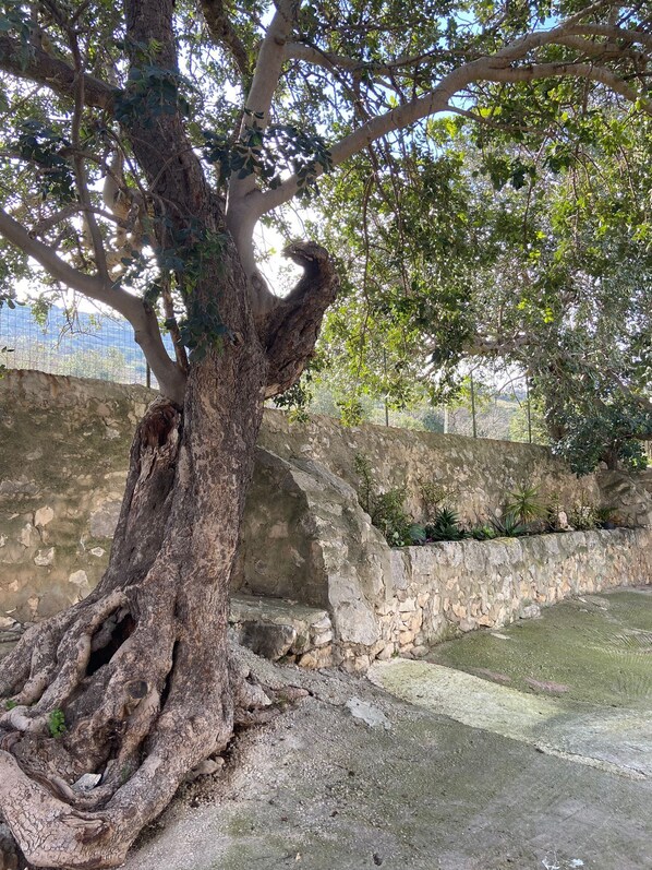 Parco della struttura