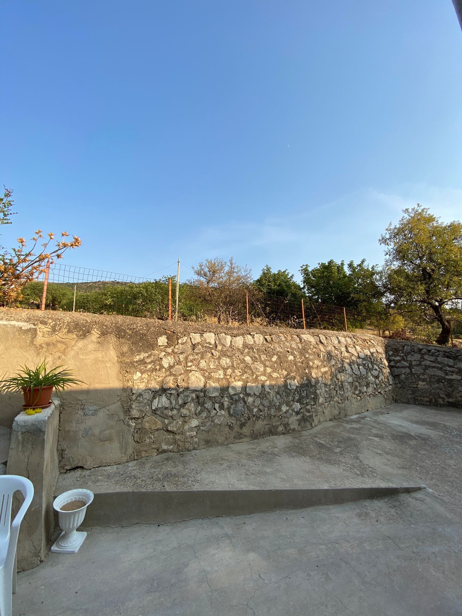 A stone wall with a concrete floor, a potted plant, and a white chair.