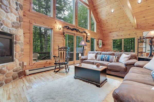 TV, fireplace, video games