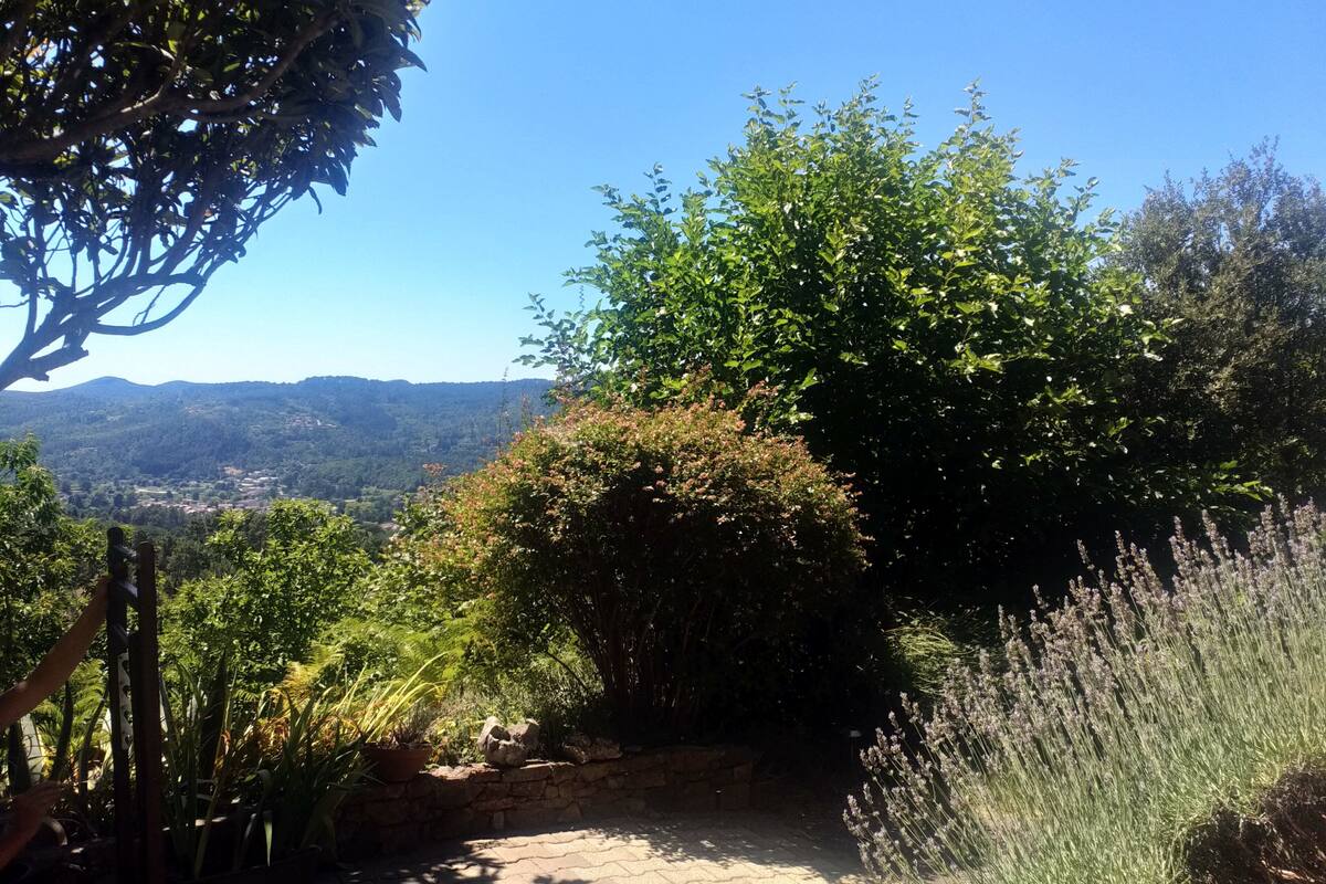 Un chemin pavé traverse un jardin où l’on trouve différentes espèces de plantes, et offre une vue sur des collines lointaines.