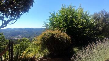 Chambre Origine | Terrace/patio