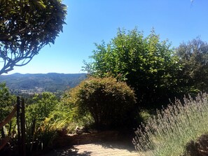 Chambre Origine | Terrasse/Patio