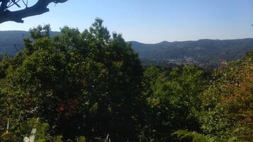 A lush, green landscape with dense foliage and a distant view of a valley.