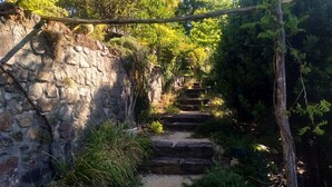 Eine steinerne Treppe, umgeben von üppiger Vegetation, die zu einem felsigen Pfad hinaufführt.
