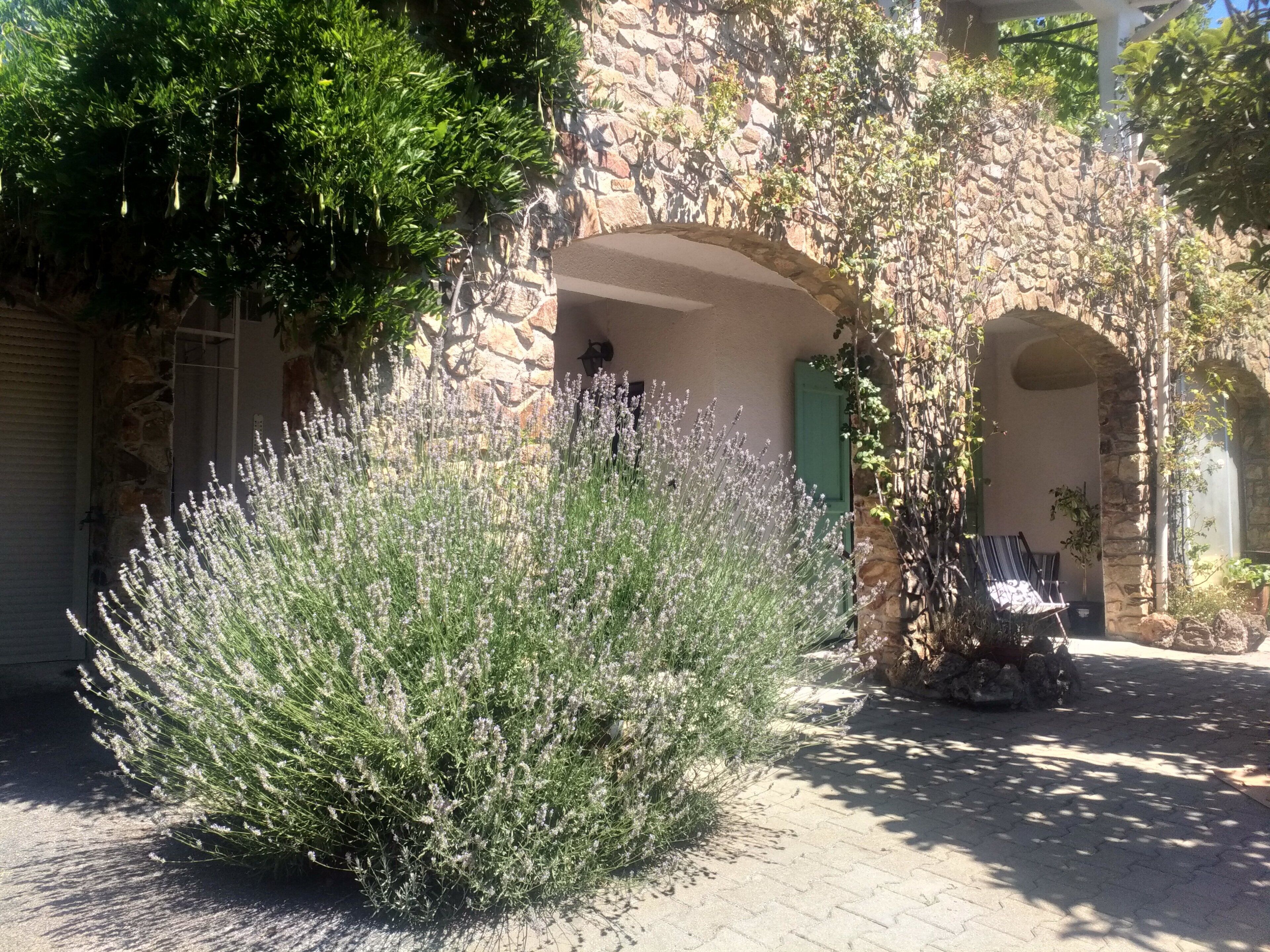 Chambre Origine | Terrace/patio