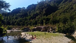Eine natürliche Landschaft mit Fluss, felsigem Gelände und dichtem Wald.