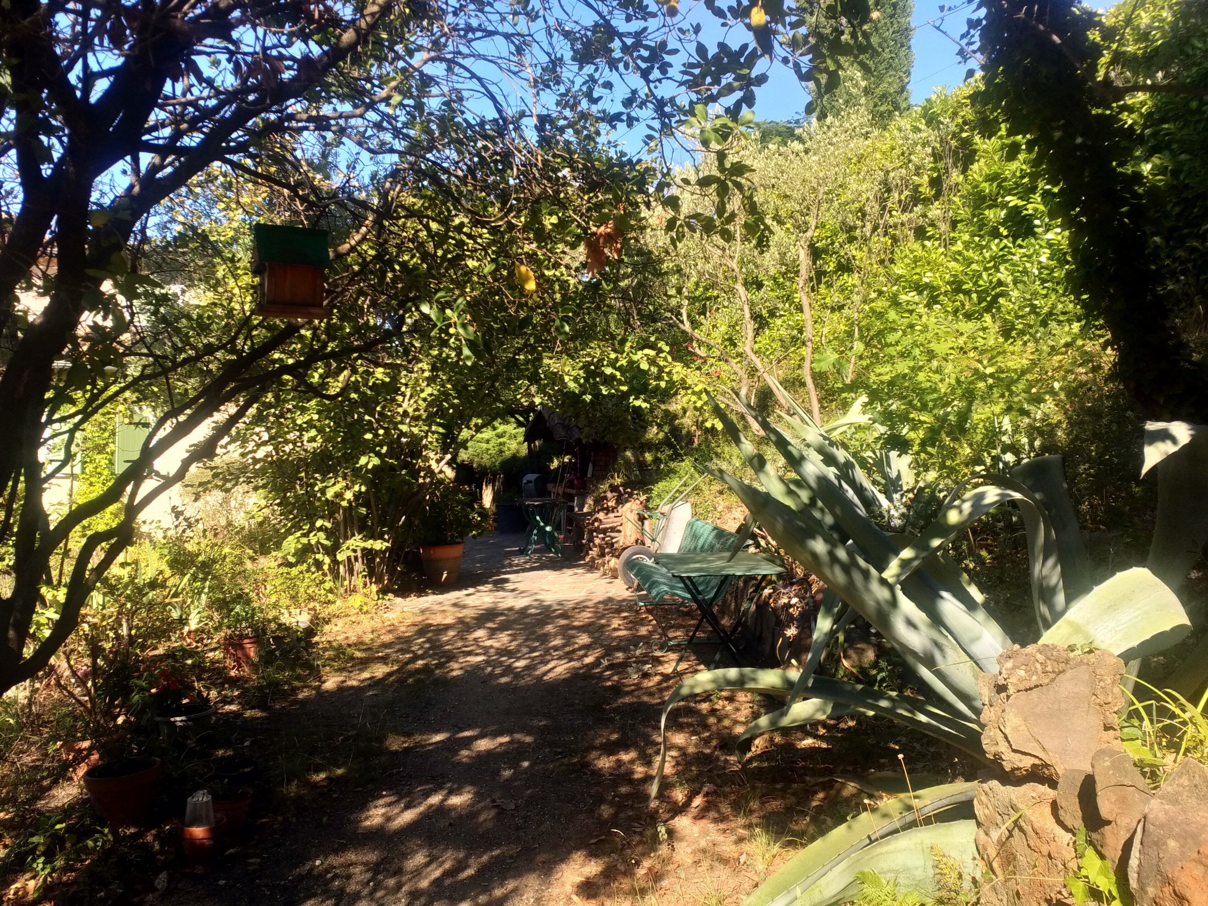 A garden path leading to a shaded area with potted plants and a green chair.
