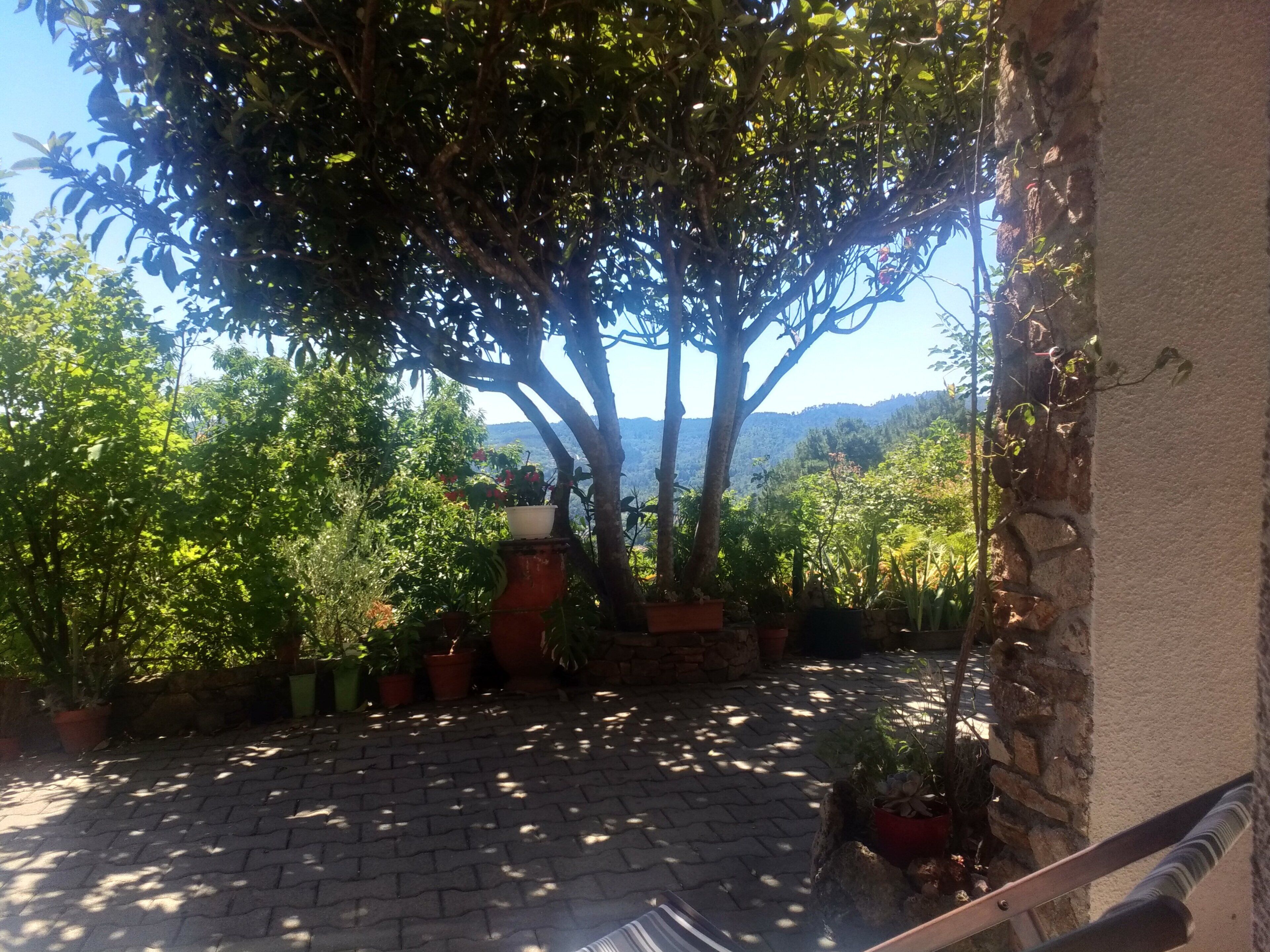 Vue sur la campagne depuis l’hébergement