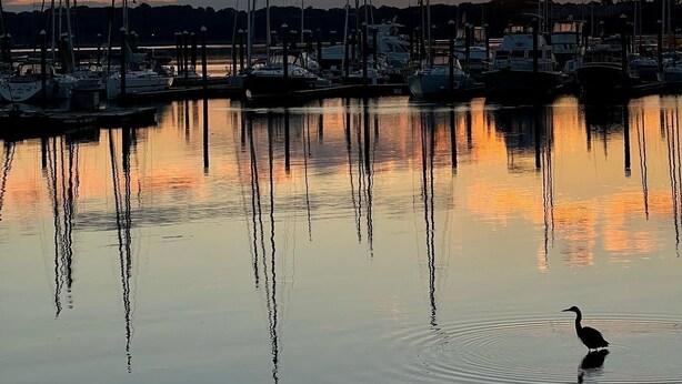 Uma marina com vários veleiros atracados em águas calmas ao pôr do sol.