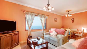 Télévision, cheminée, lecteur de DVD, chaîne hi-fi