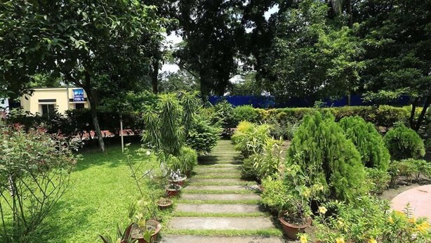 Een tuinpad met verschillende potplanten en bomen.