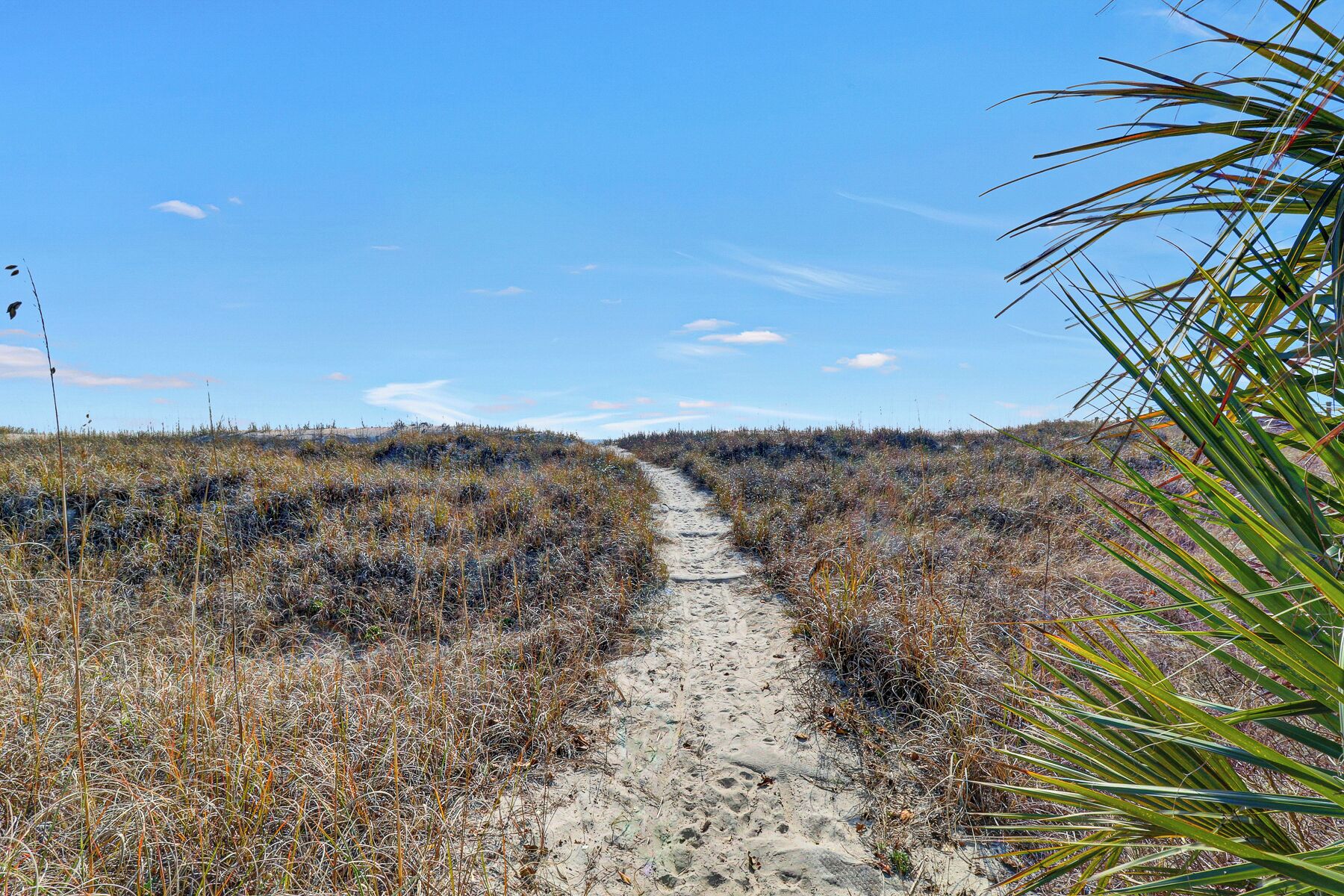 A sandy path through a dry, grassy landscape with sparse vegetation and a clear blue sky.