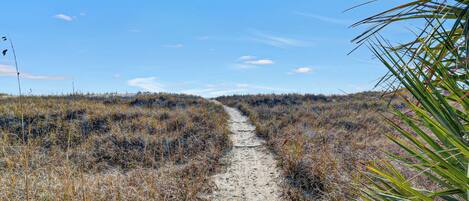 A sandy path through a dry, grassy landscape with sparse vegetation and a clear blue sky.