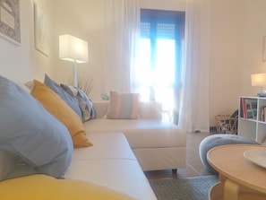 TV connectée, cheminée, livres, médiathèque