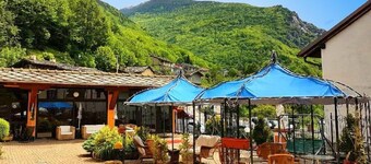 Hotel Lion