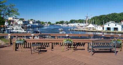 Colonial 1 - studio apartment overlooking the Black River