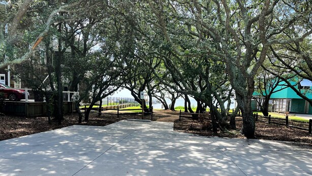 Un camí pavimentat flanquejat per arbres que condueix a una massa d'aigua.