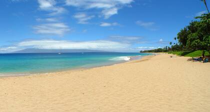 Wow! Last Min Pricing due to Cancellation! Kaanapali Beach