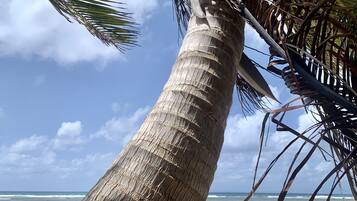 Am Strand