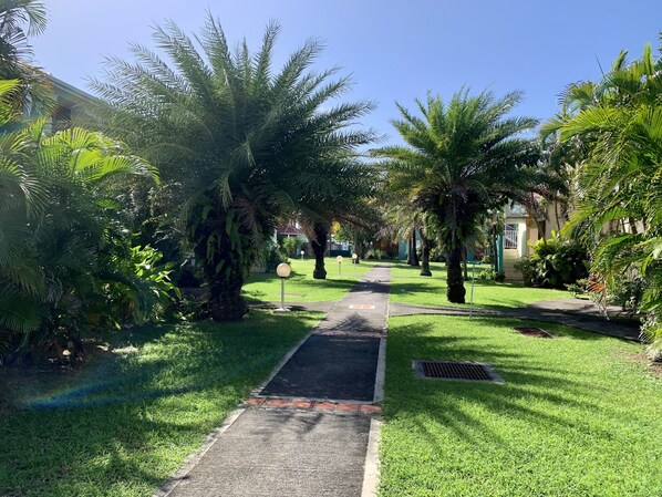 A pathway lined with palm trees and a grassy area, leading to a building with a red roof.