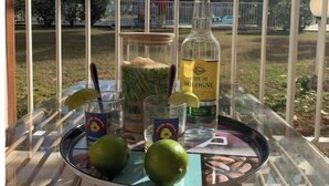 Et bord med en flaske spiritus, glas og limefrugter på et fad, med udsigt til palmer og huse.