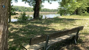 A wooden bench by a lake with trees in the background. - Step Back in Time Near The Missouri River (Jamestown)