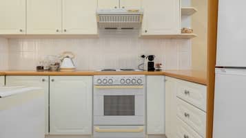 Classic Apartment | Private kitchen | Fridge, microwave, oven, stovetop