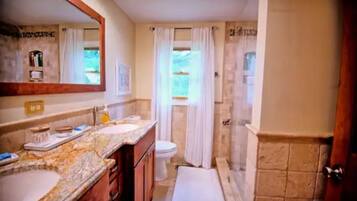 A bathroom with a marble vanity, a toilet, and a shower area.