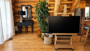 A cozy room with a wooden interior, a flat-screen TV on a stand, a plant, and a mirror on the wall.