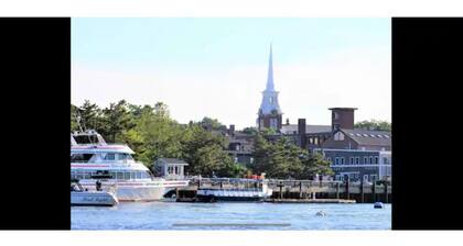 Dog Daze One- South End NBT