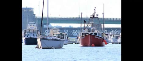 Marina