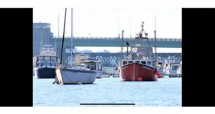 Dog Daze One- South End NBT