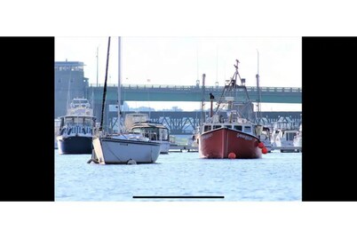 Dog Daze One- South End NBT