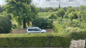 Un coche blanco estacionado en un área verde exuberante con follaje denso y un seto al frente.