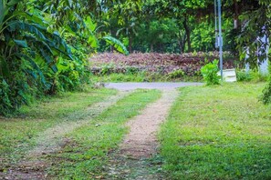 Property grounds - Rustic Cabin 10 min from the beaches (La Cruz)