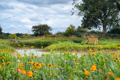 Andrus - Mayflower Meadow