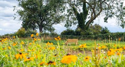 Indrek - Mayflower Meadow